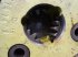 Getriebe & Getriebeteile des Typs John Deere 1042, Gebrauchtmaschine in Hemmet (Bild 19)