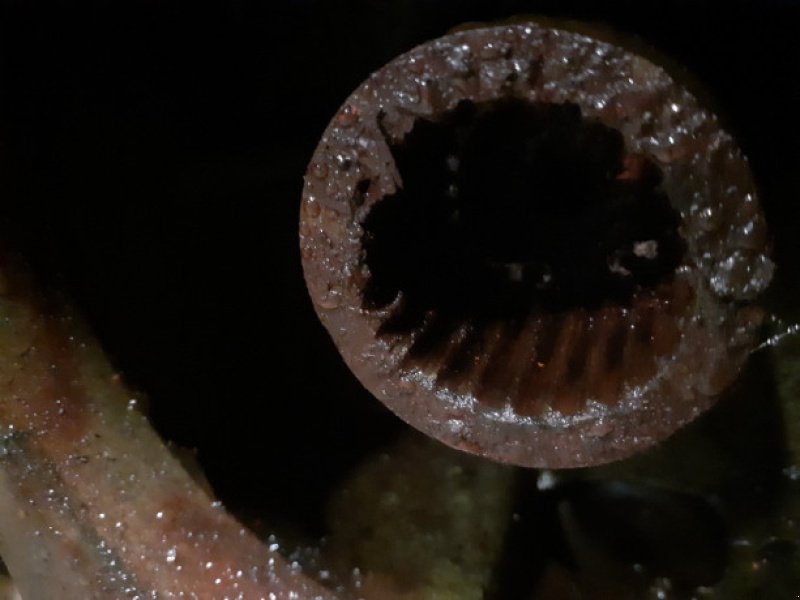 Getriebe & Getriebeteile del tipo John Deere 1177, Gebrauchtmaschine In Hemmet (Immagine 11)