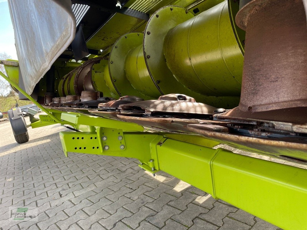 GPS-Schneidwerk du type CLAAS Direct Disc 600, Gebrauchtmaschine en Rhede / Brual (Photo 10)
