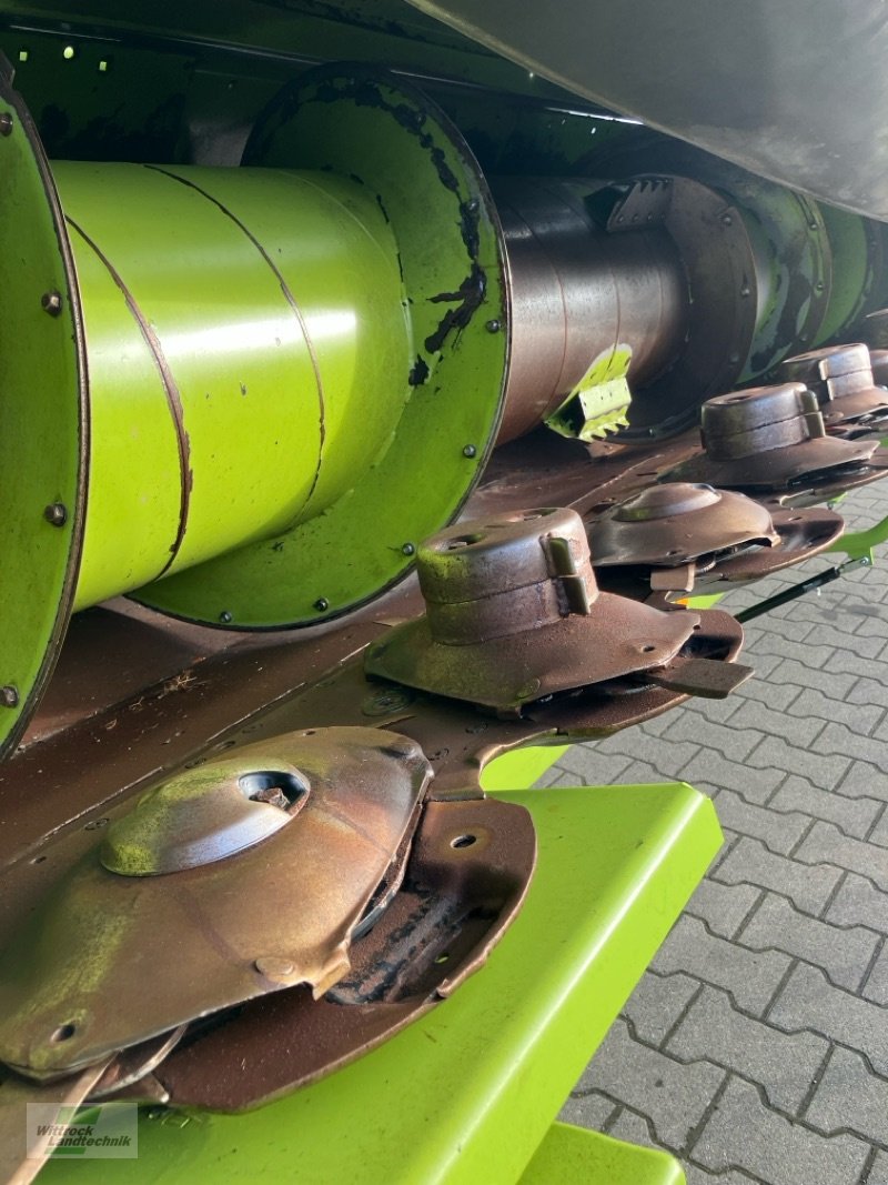 GPS-Schneidwerk du type CLAAS Direct Disc 600, Gebrauchtmaschine en Rhede / Brual (Photo 3)