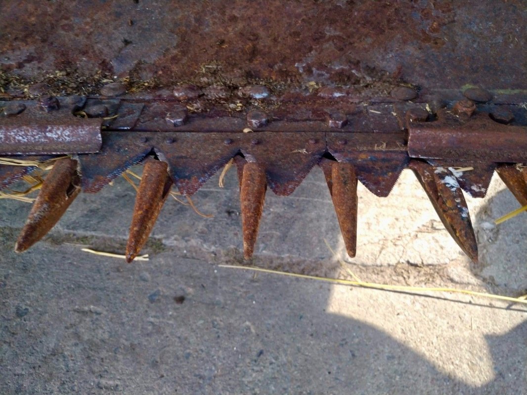 GPS-Schneidwerk des Typs Fortschritt 742 Ganzpflanzenschneidwerk, Gebrauchtmaschine in Liebenwalde (Bild 19)