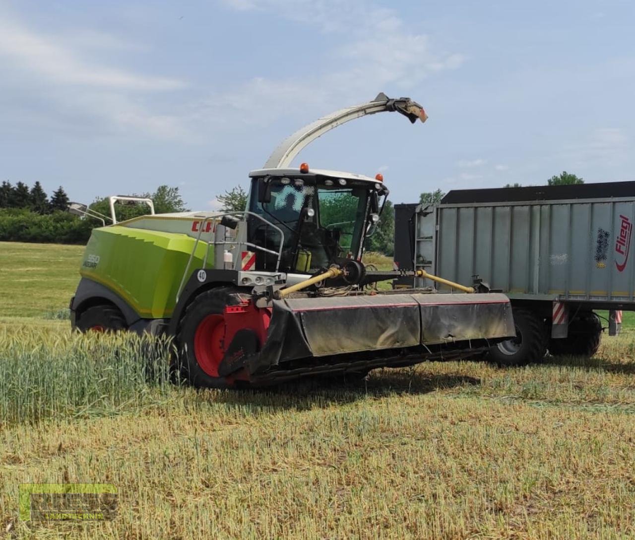 GPS Schneidwerk of the type Gruber COMPACT DISC 610 CL für Claas Jaguar, Gebrauchtmaschine in Homberg (Ohm) - Maulbach (Picture 3)