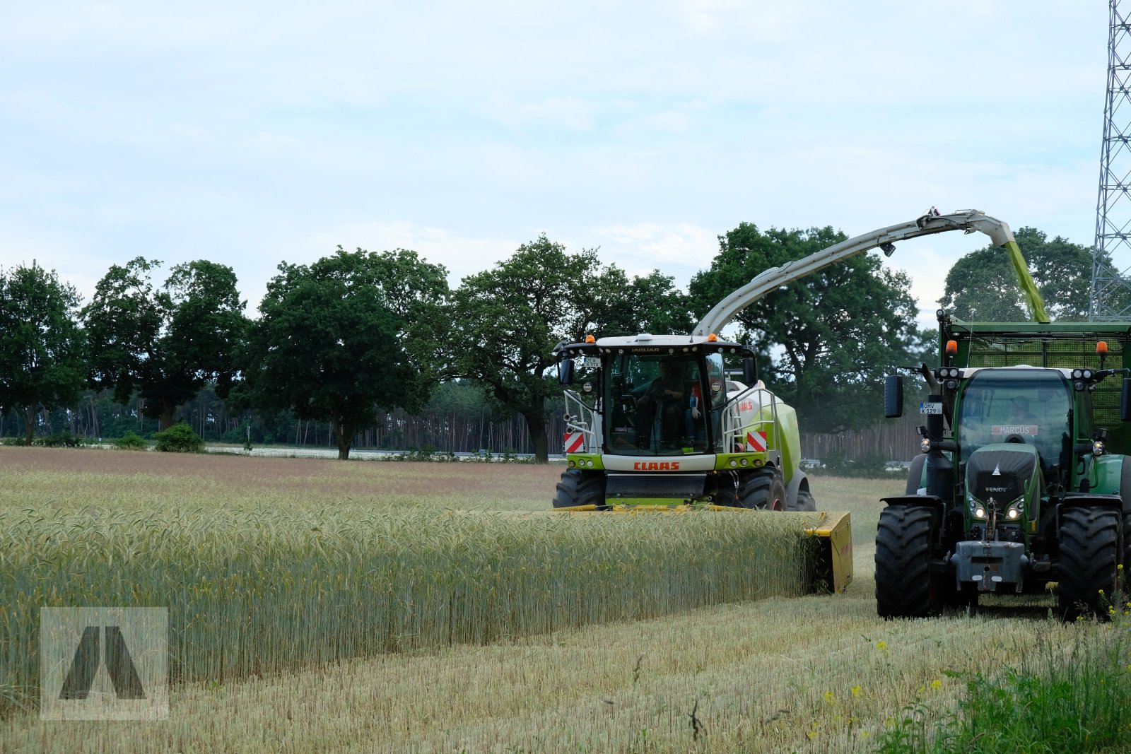 GPS-Schneidwerk des Typs Marangon MDR 6014 GPS-Direktschneidwerk f. Claas/JD/NH, Neumaschine in Lauterhofen (Bild 8)