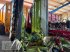 Großflächenmäher типа CLAAS Disco 9200 C Contour, Gebrauchtmaschine в Bad Kötzting (Фотография 7)