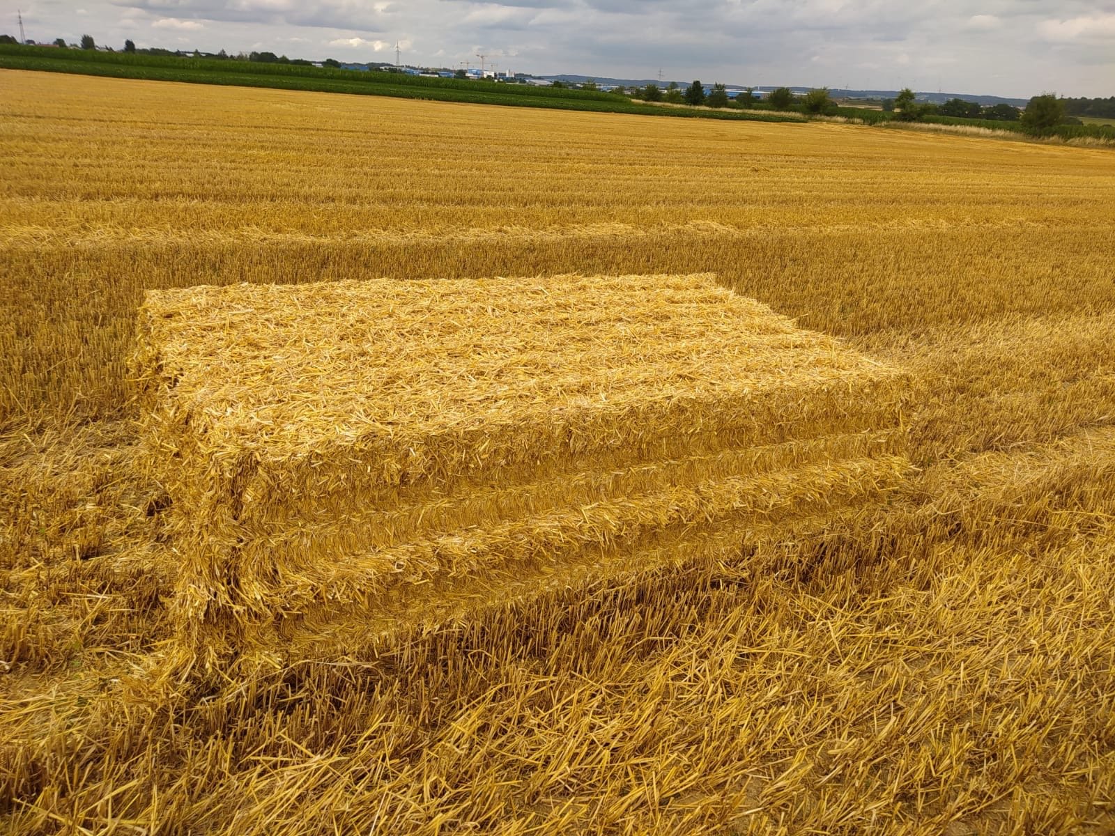 Großpackenpresse del tipo CLAAS Quadrant 5200 FC, Gebrauchtmaschine en Ellwangen (Imagen 12)