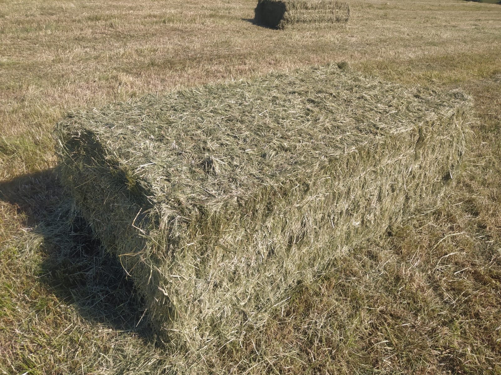 Großpackenpresse del tipo CLAAS Quadrant 5200 FC, Gebrauchtmaschine en Ellwangen (Imagen 13)