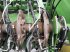 Großpackenpresse типа Krone BP 1290 HDP, Gebrauchtmaschine в SAINT LOUP (Фотография 10)
