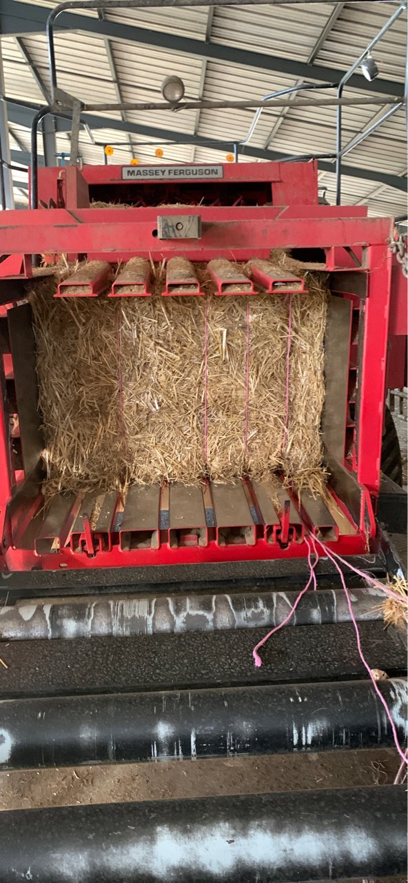 Großpackenpresse типа Massey Ferguson 187, Gebrauchtmaschine в Lalœuf (Фотография 11)