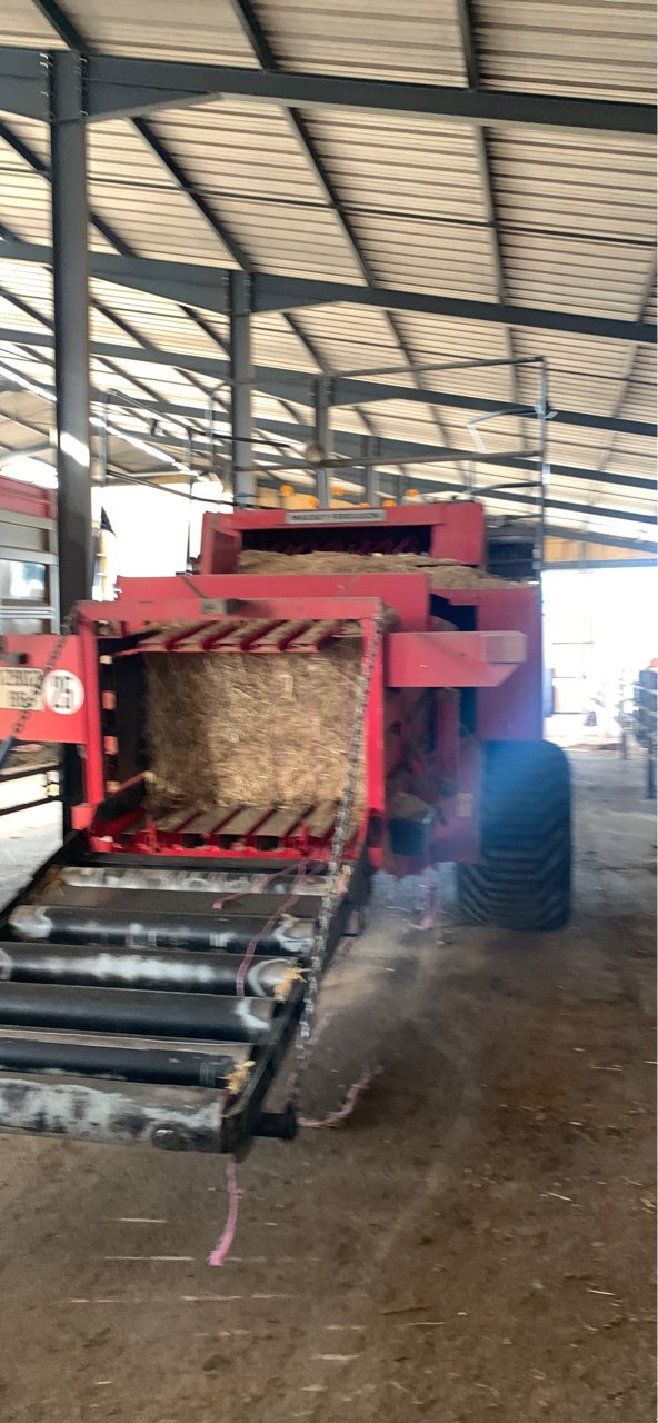 Großpackenpresse типа Massey Ferguson 187, Gebrauchtmaschine в Lalœuf (Фотография 4)