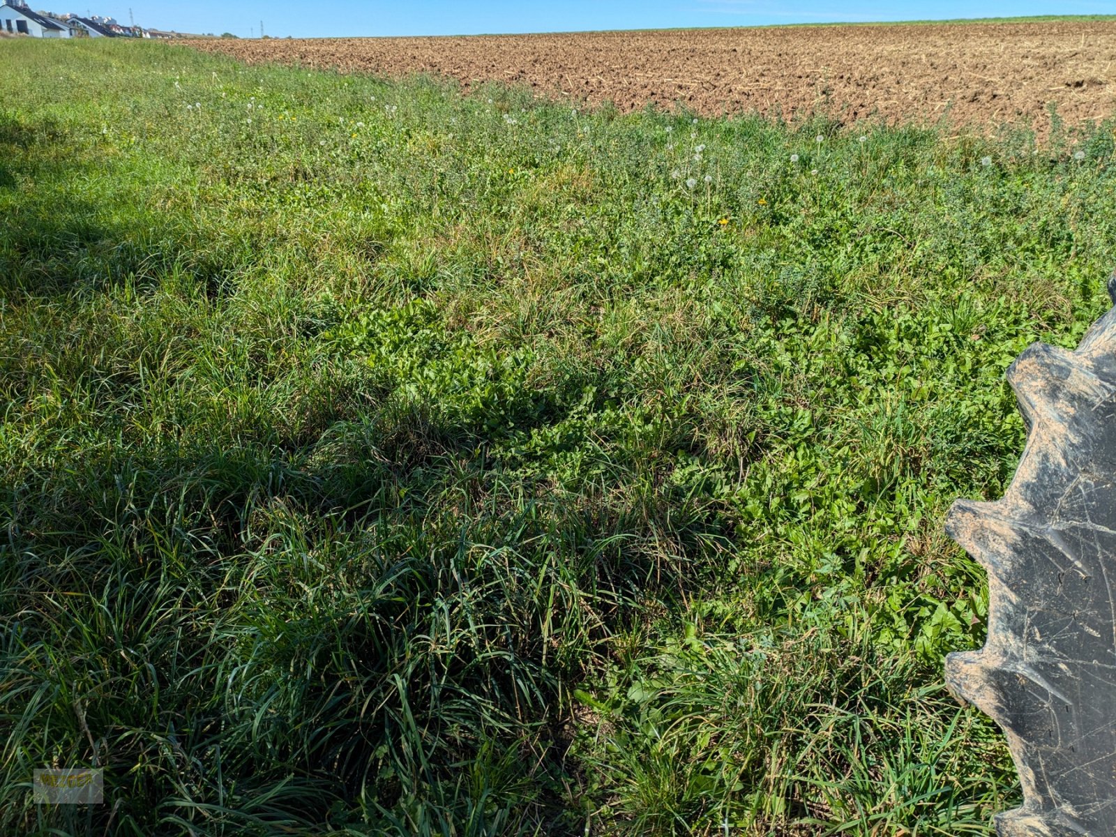 Grubber des Typs 4Disc ActiCut 3,0 für ultraflache Bodenbearbeitung, Neumaschine in Ditzingen (Bild 14)