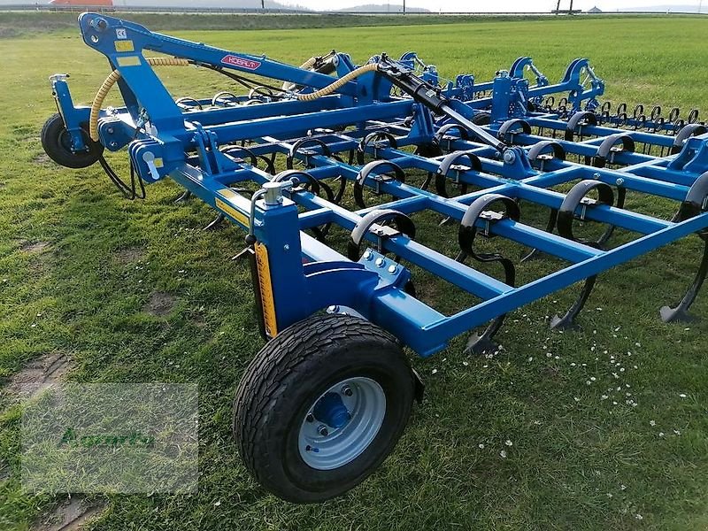 Grubber des Typs Agripol BIO KOBALT Leichtgrubber Großfederzinkenegge Bio Grubber, Neumaschine in Gronau (Bild 17)