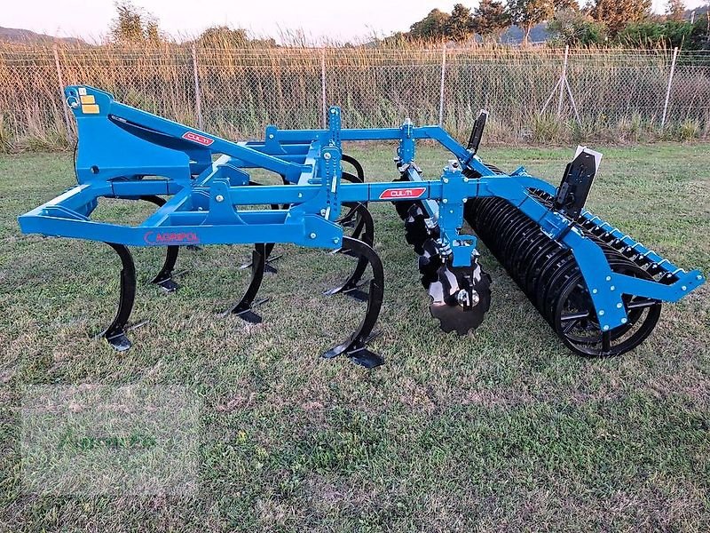 Grubber des Typs Agripol CULTI I 300 Grubber Mulchsaatgrubber 3m, Neumaschine in Gronau (Bild 1)