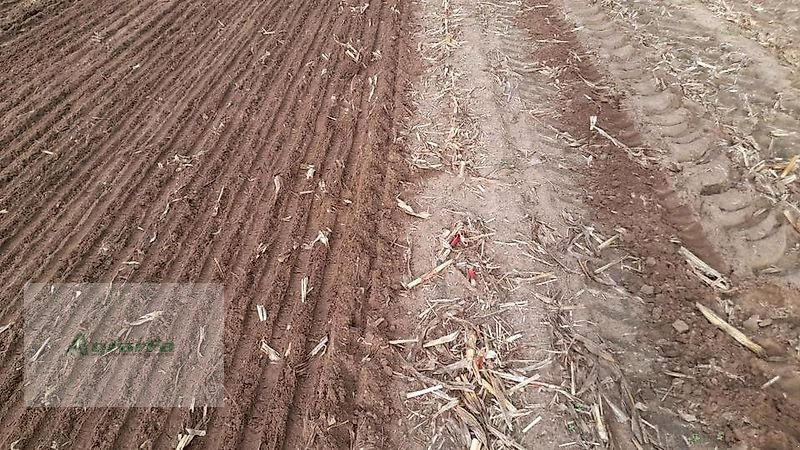 Grubber des Typs Agripol FRONT GRIZ IV 300 Frontgrubber Grubber Frontgrubber, Neumaschine in Gronau (Bild 13)