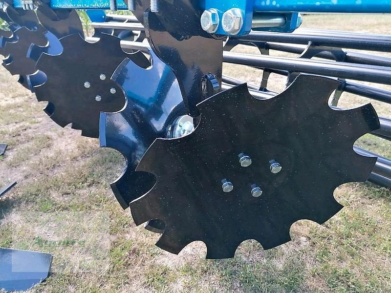 Grubber a típus Agripol GRIZ 300 Grubber 3m Mulchsaatgrubber, Neumaschine ekkor: Gronau (Kép 8)