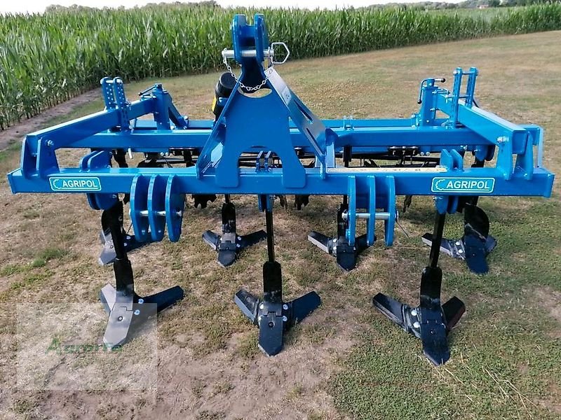 Grubber a típus Agripol GRIZ 300 Grubber 3m Mulchsaatgrubber, Neumaschine ekkor: Gronau (Kép 9)