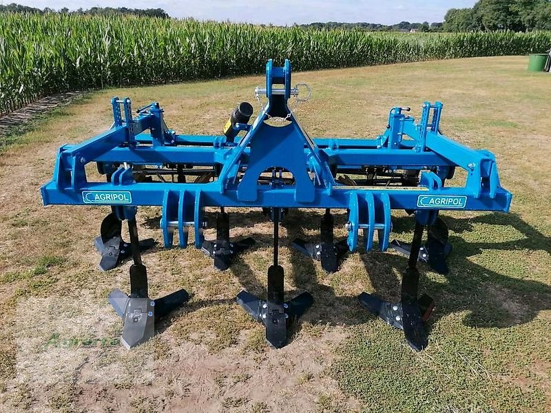 Grubber a típus Agripol GRIZ 300 Grubber 3m Mulchsaatgrubber, Neumaschine ekkor: Gronau (Kép 19)