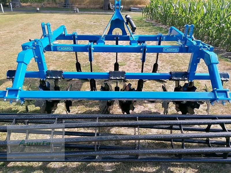 Grubber a típus Agripol GRIZ 300 Grubber 3m Mulchsaatgrubber, Neumaschine ekkor: Gronau (Kép 14)