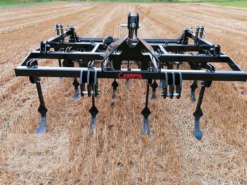 Grubber des Typs Agripol LEM 300 Mulchsaatgrubber Grubber 3m, Neumaschine in Gronau (Bild 15)