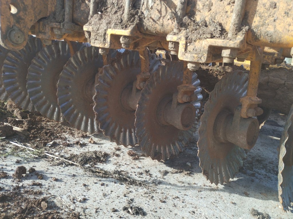 Grubber a típus Agrisem DISCO MULCH GOLD 3 M SRE, Gebrauchtmaschine ekkor: Calmont (Kép 7)