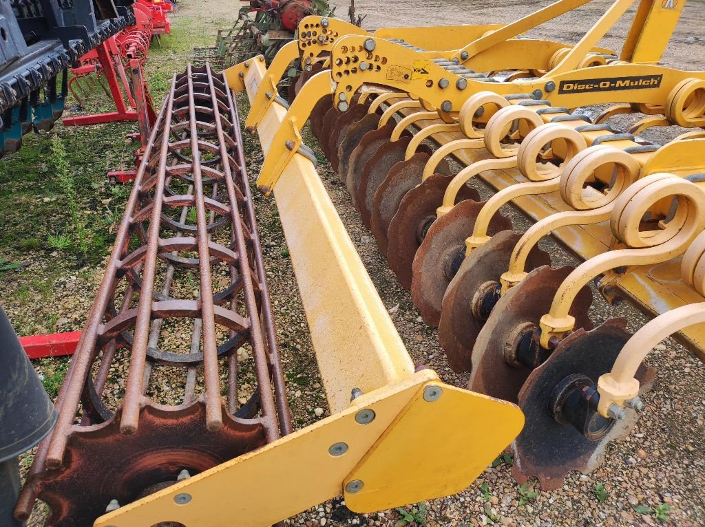 Grubber typu Agrisem DOM GOLD, Gebrauchtmaschine v FRESNAY LE COMTE (Obrázek 3)