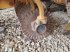Grubber del tipo Agrisem MAXIMULCH, Gebrauchtmaschine In BRAY en Val (Immagine 7)