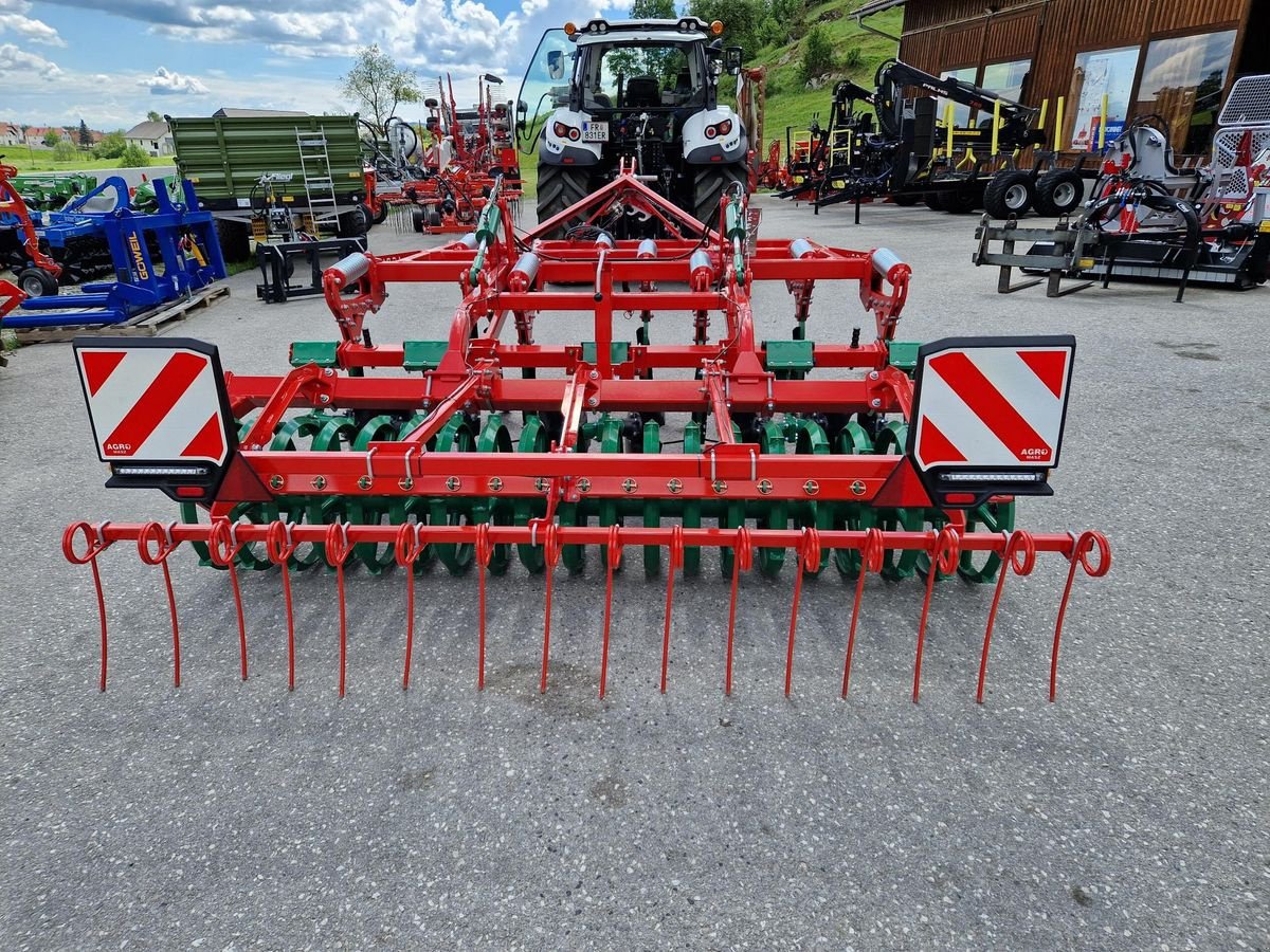 Grubber типа Agro-Masz RUNNER 30 Non Stop Steinsicherung, Gebrauchtmaschine в Grünbach (Фотография 3)
