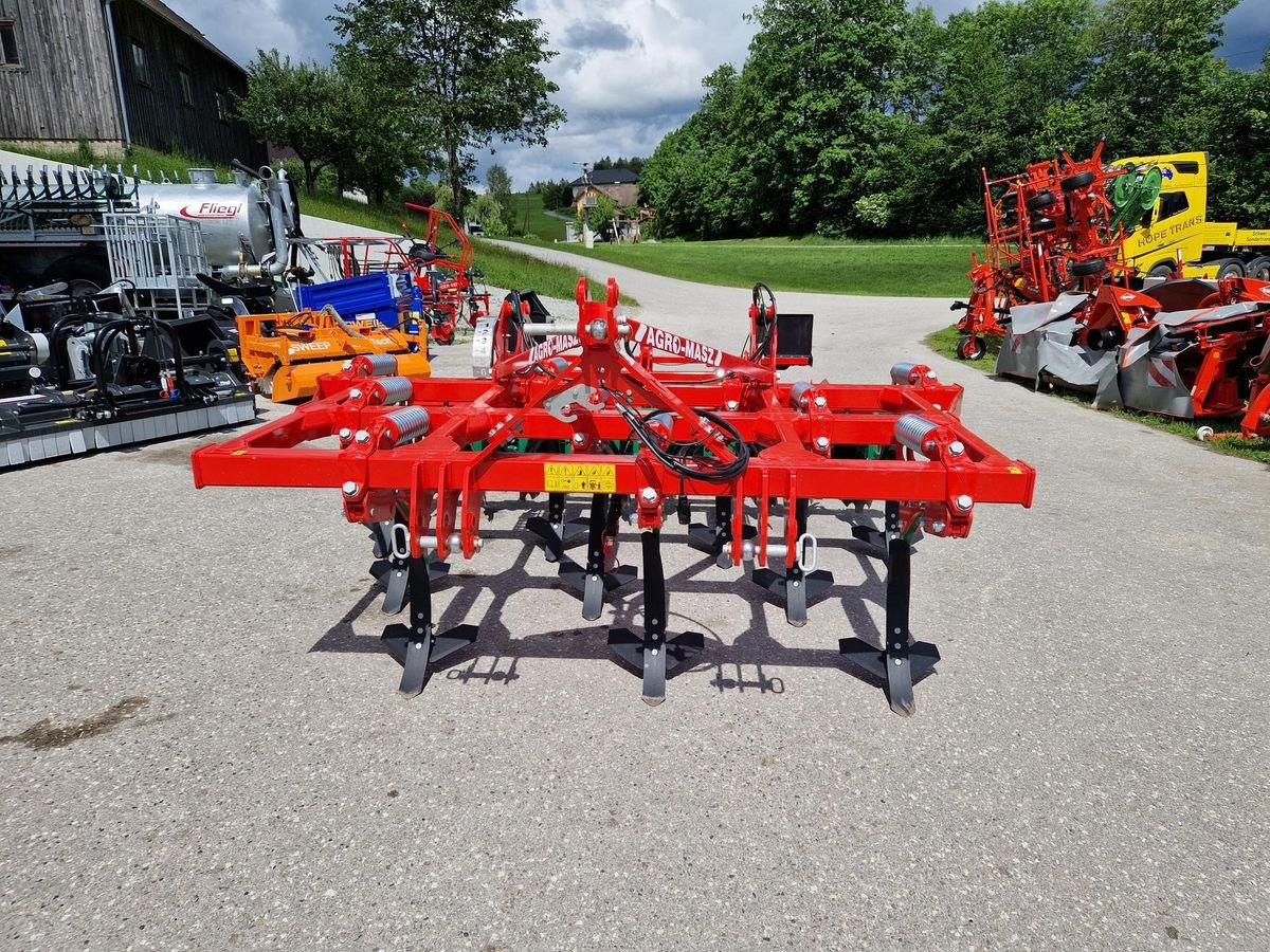 Grubber типа Agro-Masz RUNNER 30 Non Stop Steinsicherung, Gebrauchtmaschine в Grünbach (Фотография 6)