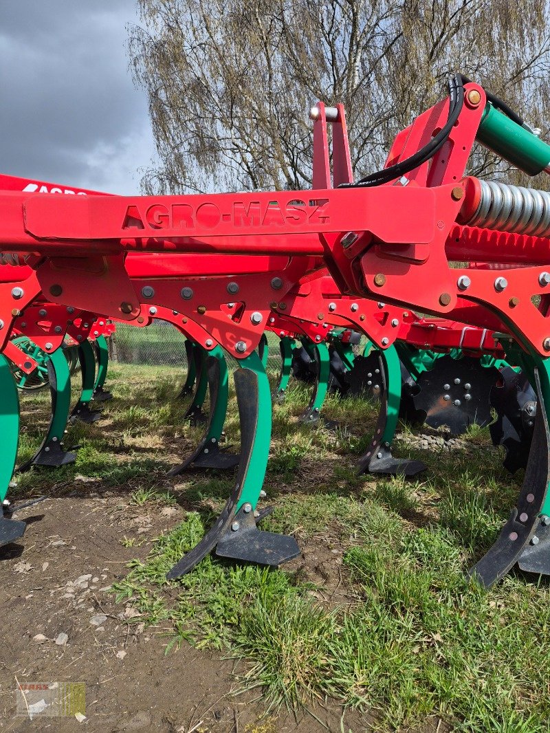 Grubber Türe ait Agro-Masz Runner 40, Neumaschine içinde Reinheim (resim 9)