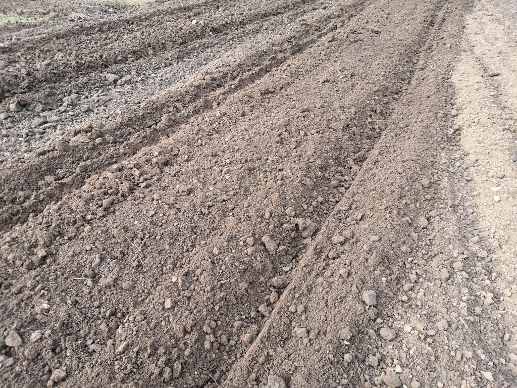 Grubber des Typs Agrotipa HopGrubber Vario 180-240, Neumaschine in Roudnice nad Labem (Bild 8)