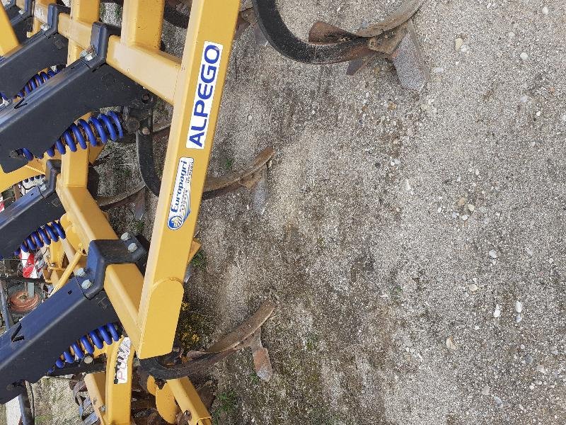 Grubber del tipo Alpego PUMA, Gebrauchtmaschine In BRAY en Val (Immagine 4)