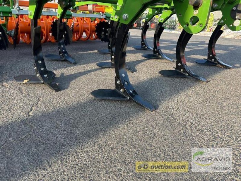 Grubber типа Amazone CENIO 3000 SPECIAL, Vorführmaschine в Meppen-Versen (Фотография 5)