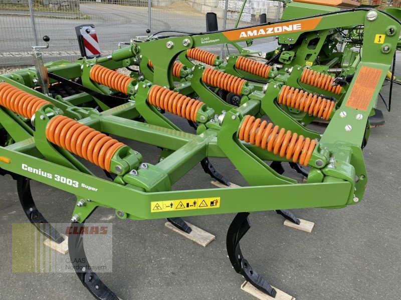 Grubber of the type Amazone CENIO 3000 SUPER, Gebrauchtmaschine in Gefrees (Picture 11)