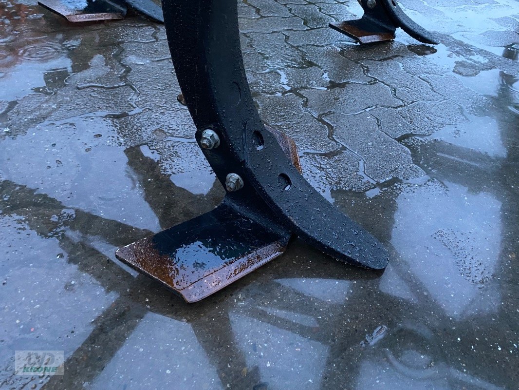 Grubber du type Amazone Cenio 3000, Gebrauchtmaschine en Barsinghausen OT Groß Munzel (Photo 5)