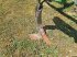 Grubber del tipo Amazone CENIO, Gebrauchtmaschine In BRAY en Val (Immagine 8)