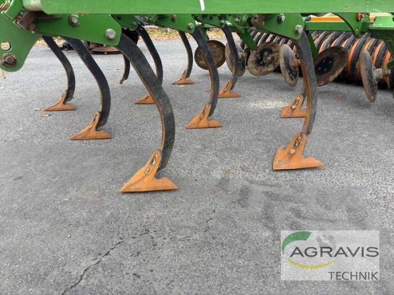 Grubber des Typs Amazone CENIUS 3002 SPECIAL, Gebrauchtmaschine in Meppen (Bild 5)