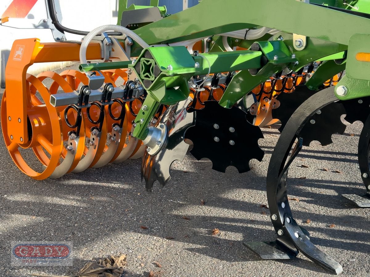 Grubber of the type Amazone CENIUS 3003 Grubber, Neumaschine in Lebring (Picture 8)