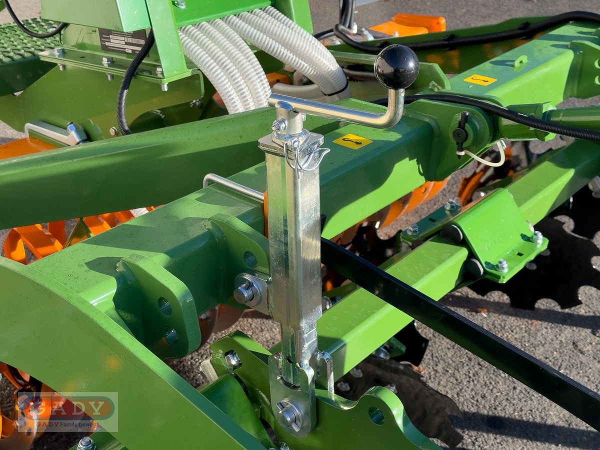 Grubber of the type Amazone CENIUS 3003 Grubber, Neumaschine in Lebring (Picture 10)