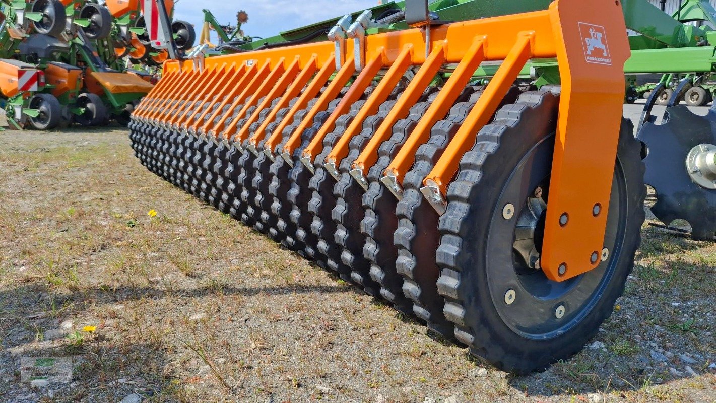 Grubber του τύπου Amazone Cenius 3003 KWM, Neumaschine σε Rhede / Brual (Φωτογραφία 3)