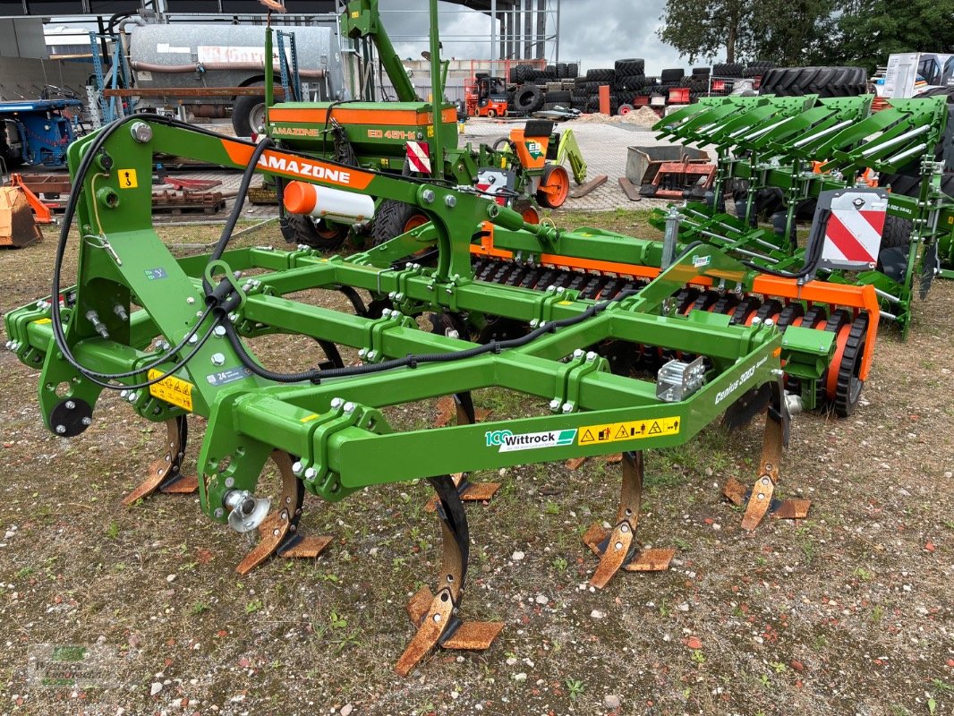 Grubber του τύπου Amazone Cenius 3003 KWM, Neumaschine σε Rhede / Brual (Φωτογραφία 1)