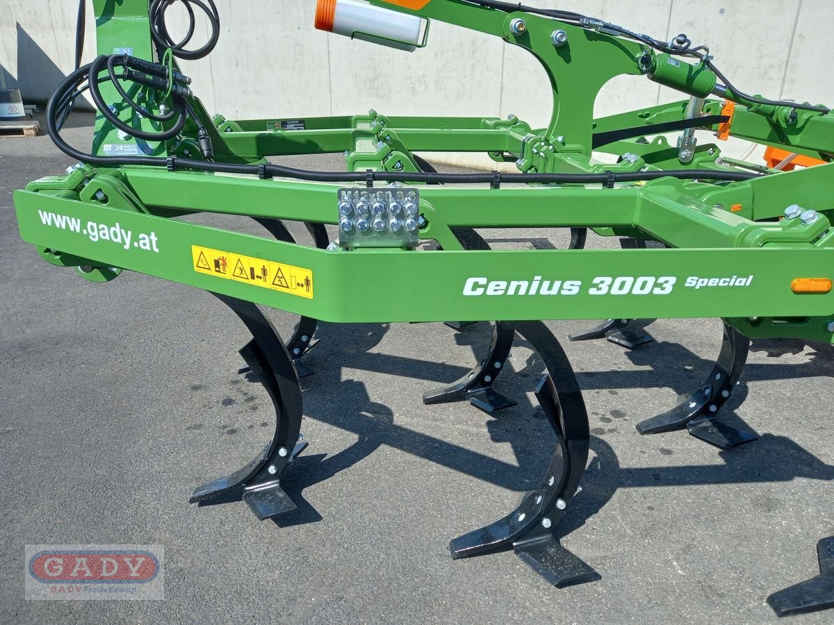 Grubber typu Amazone CENIUS 3003 MULCHGRUBBER, Neumaschine v Lebring (Obrázek 9)