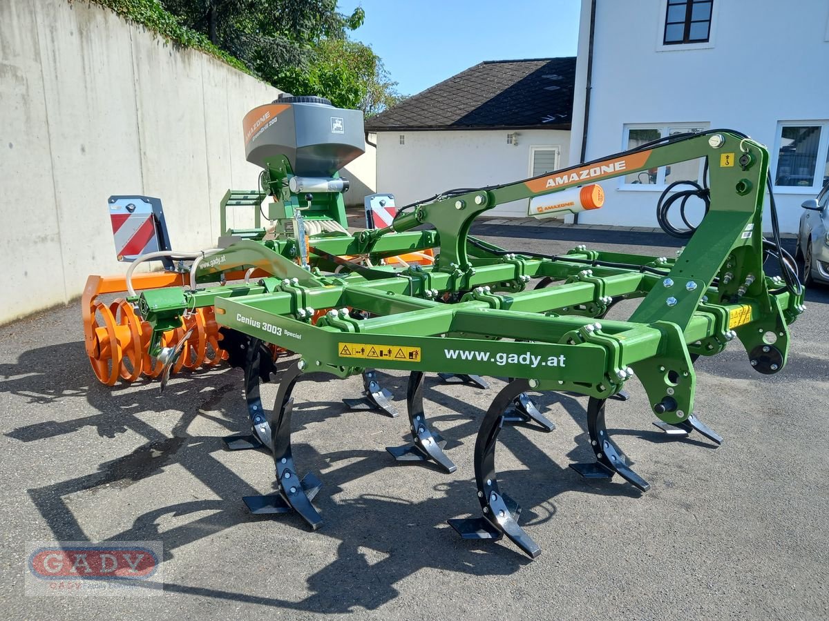 Grubber des Typs Amazone CENIUS 3003 MULCHGRUBBER, Neumaschine in Lebring (Bild 3)