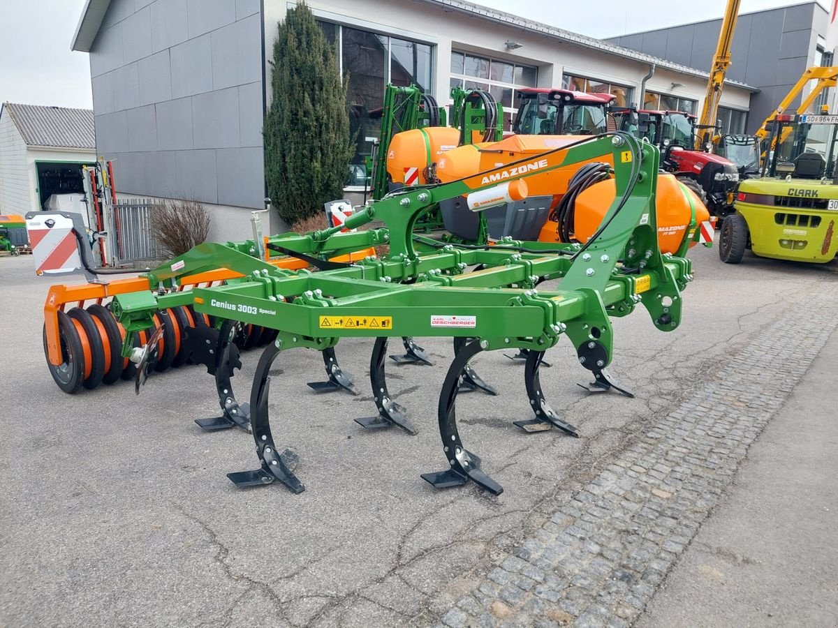Grubber des Typs Amazone Cenius 3003 Special Grubber, Neumaschine in St. Marienkirchen (Bild 3)