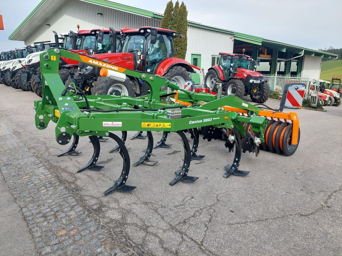 Grubber des Typs Amazone Cenius 3003 Special Grubber, Neumaschine in St. Marienkirchen (Bild 1)