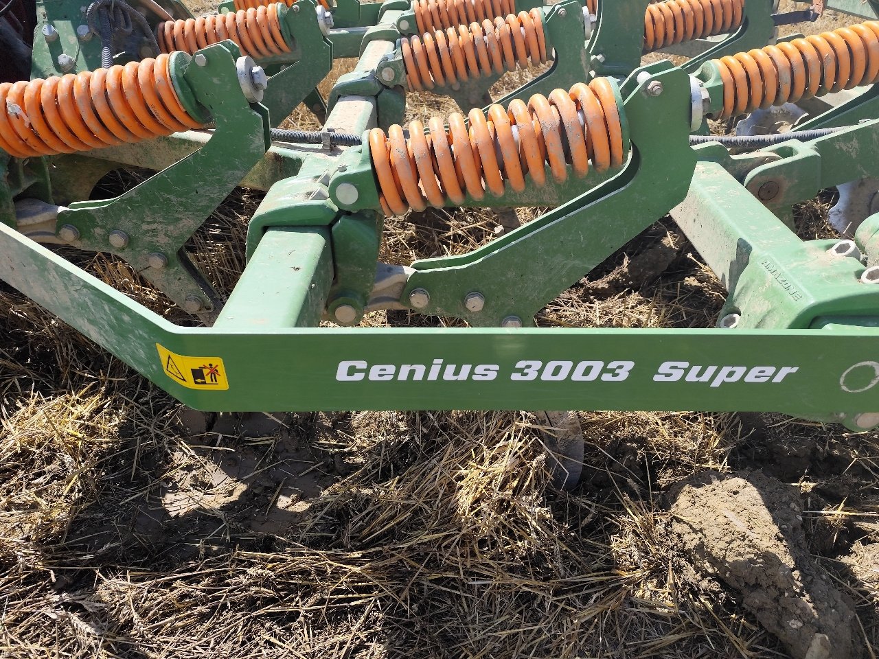 Grubber типа Amazone Cenius 3003 sup, Gebrauchtmaschine в Einvaux (Фотография 7)