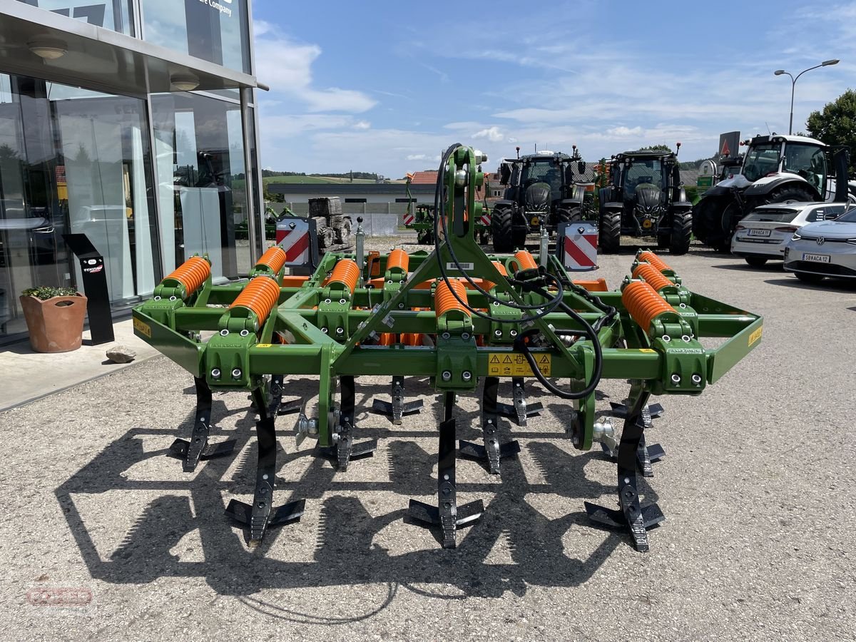 Grubber of the type Amazone Cenius 3003 Super, Vorführmaschine in Wieselburg Land (Picture 9)