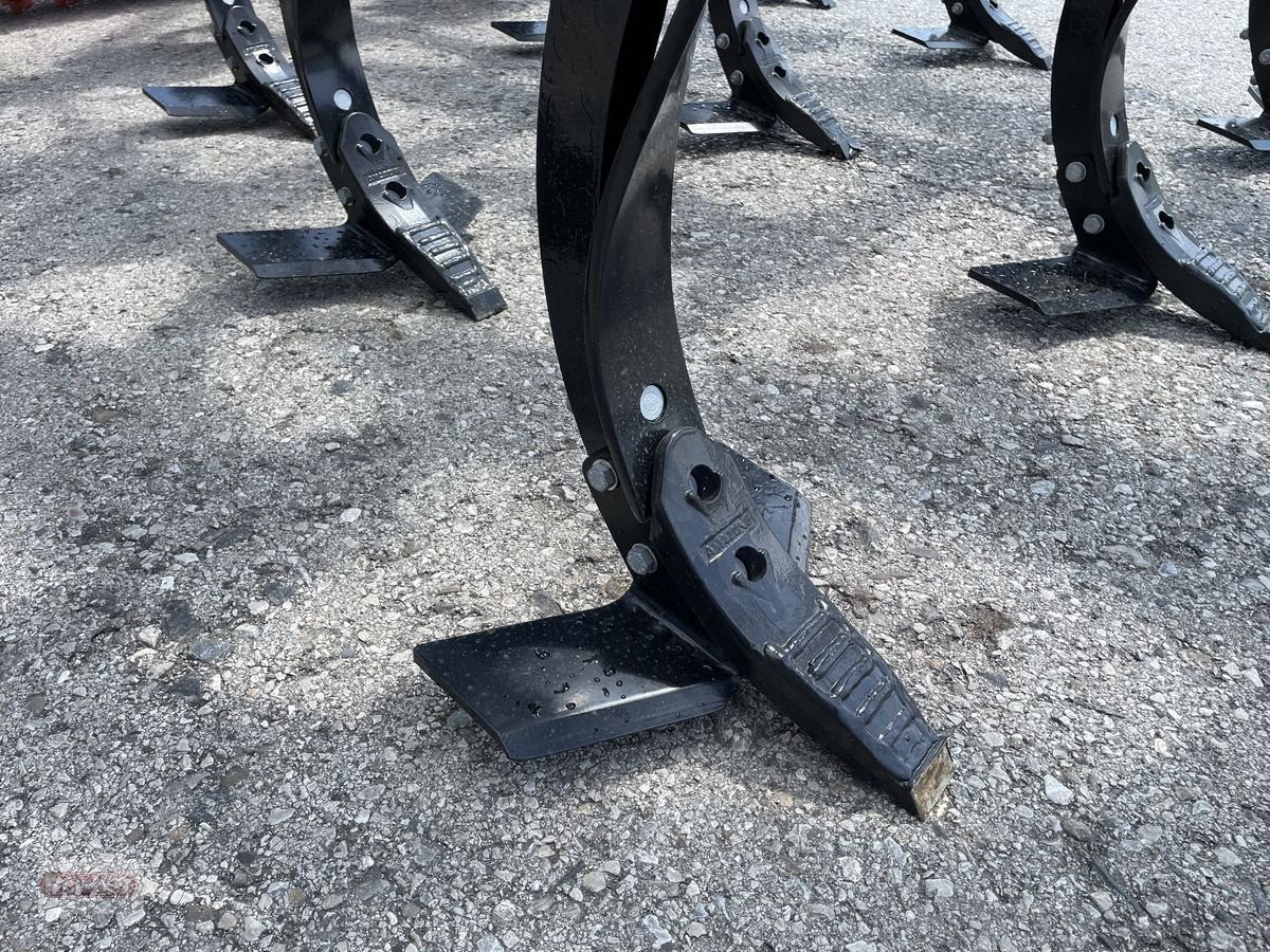 Grubber of the type Amazone Cenius 3003 Super, Vorführmaschine in Wieselburg Land (Picture 16)