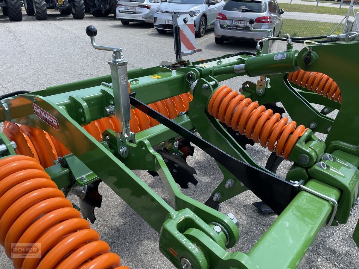 Grubber of the type Amazone Cenius 3003 Super, Vorführmaschine in Wieselburg Land (Picture 15)