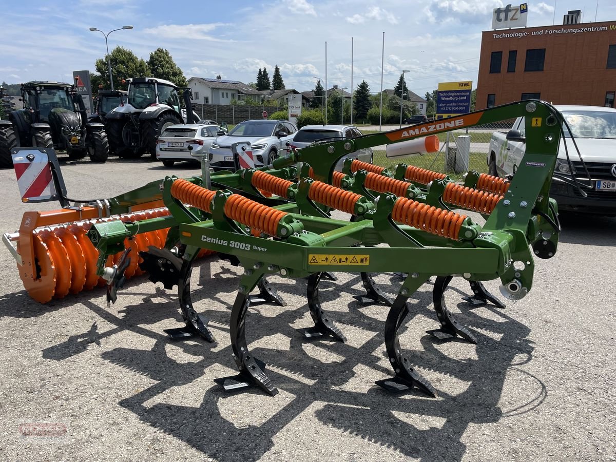 Grubber of the type Amazone Cenius 3003 Super, Vorführmaschine in Wieselburg Land (Picture 10)