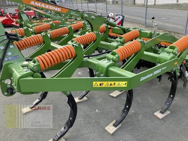 Grubber of the type Amazone CENIUS 3003 SUPER, Neumaschine in Gefrees (Picture 8)