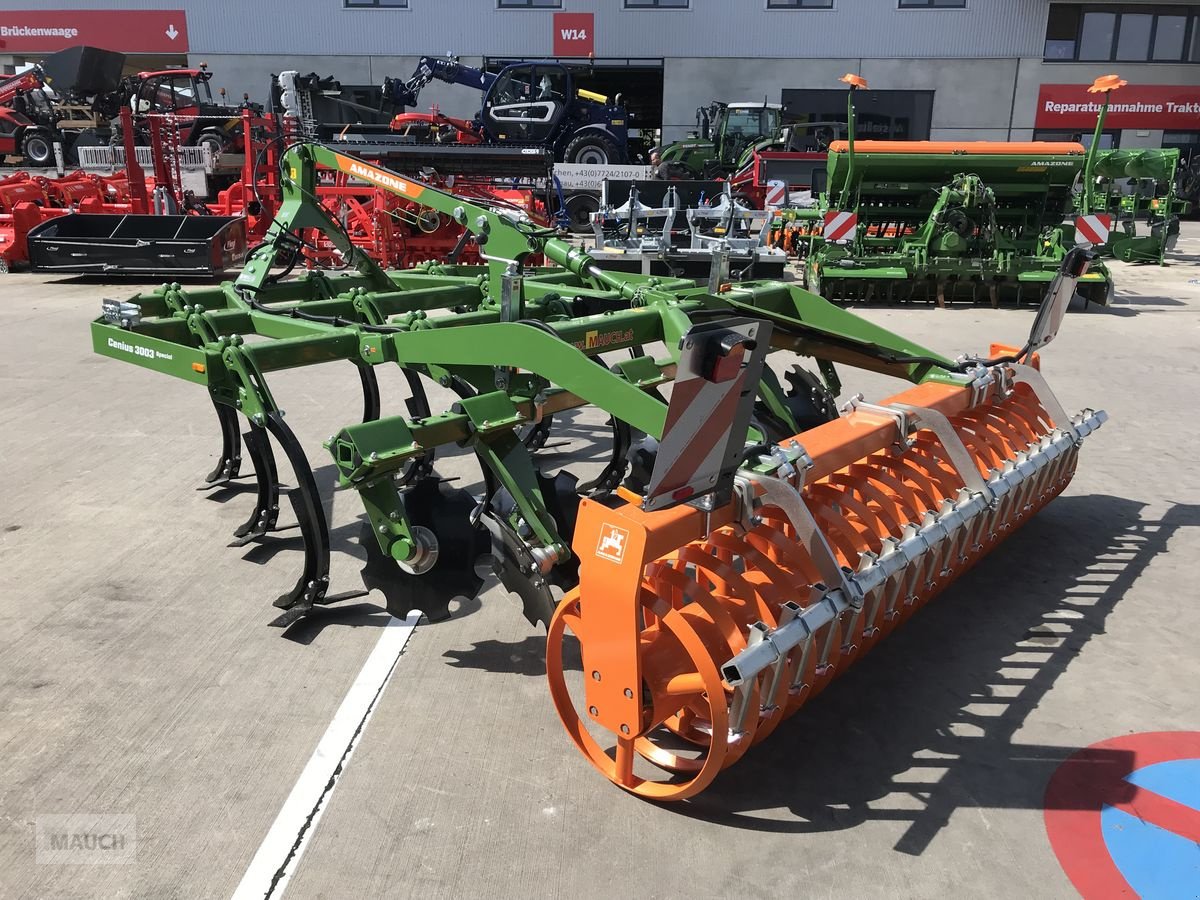 Grubber του τύπου Amazone Cenius 3003, Neumaschine σε Burgkirchen (Φωτογραφία 5)